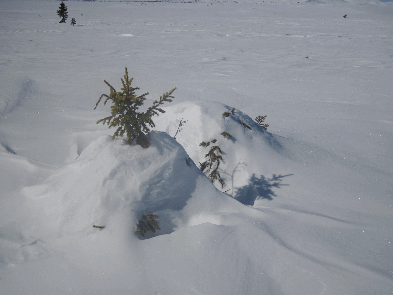 Feeling snowed under?